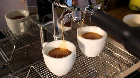Coffee & Beverage Gear