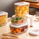 Vacuum Food Storage Box with Sealer